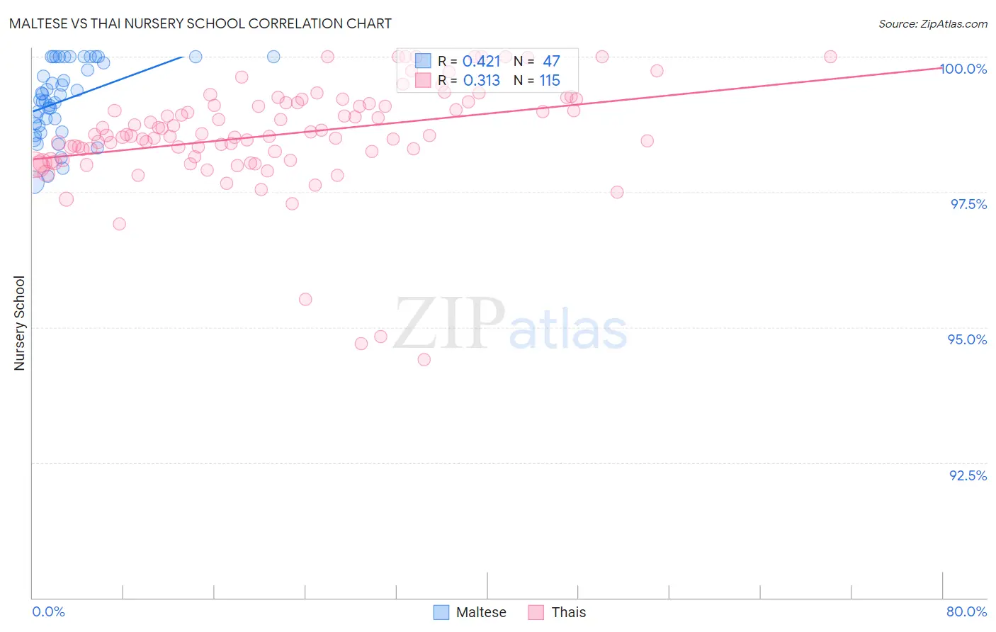 Maltese vs Thai Nursery School