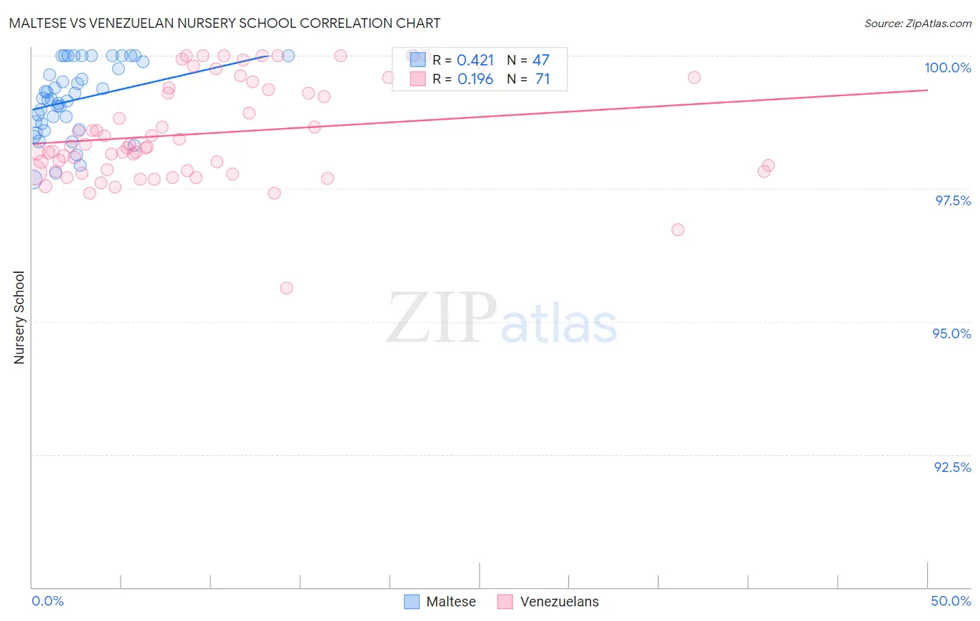 Maltese vs Venezuelan Nursery School