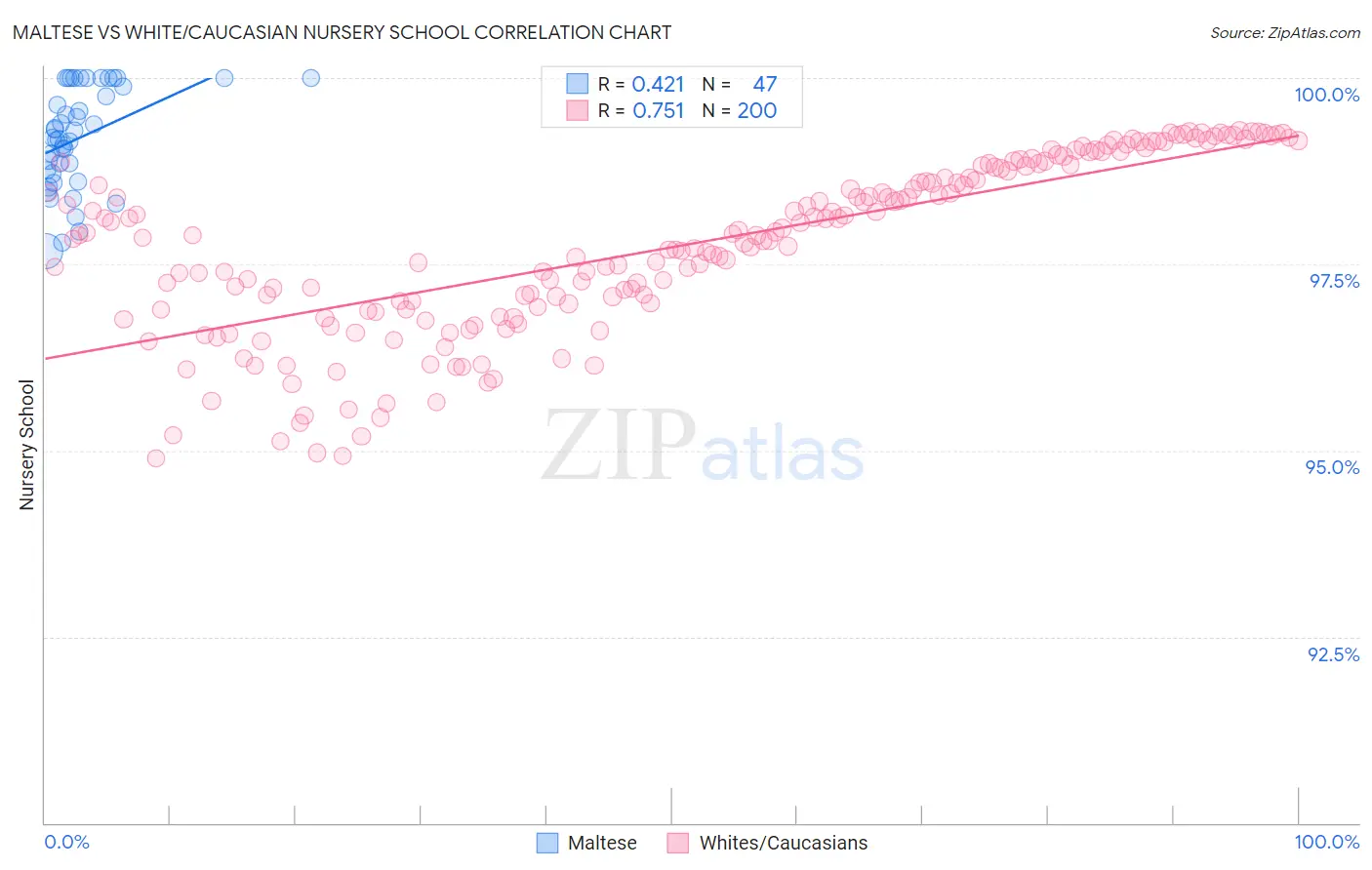 Maltese vs White/Caucasian Nursery School