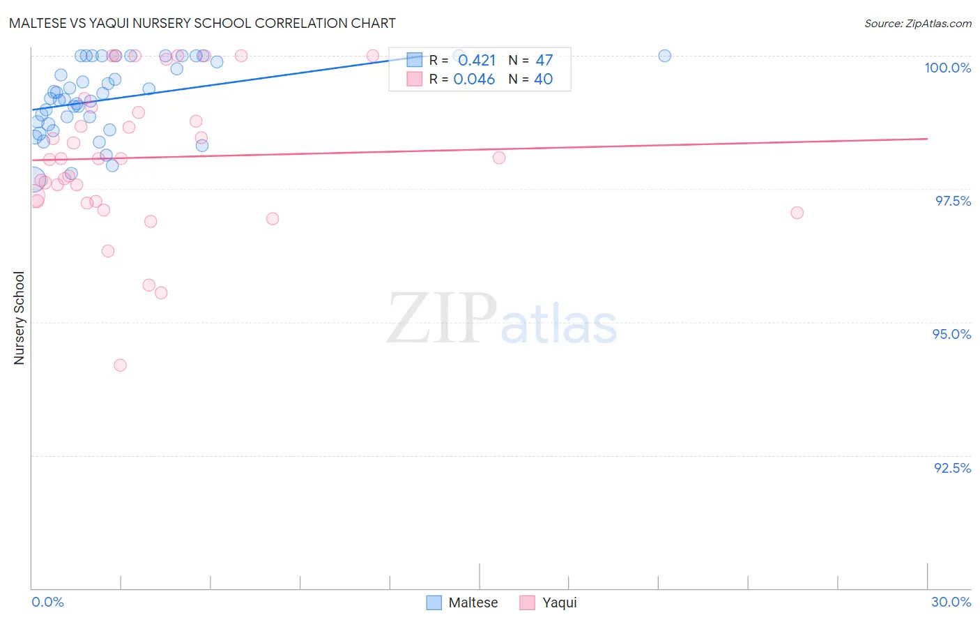 Maltese vs Yaqui Nursery School