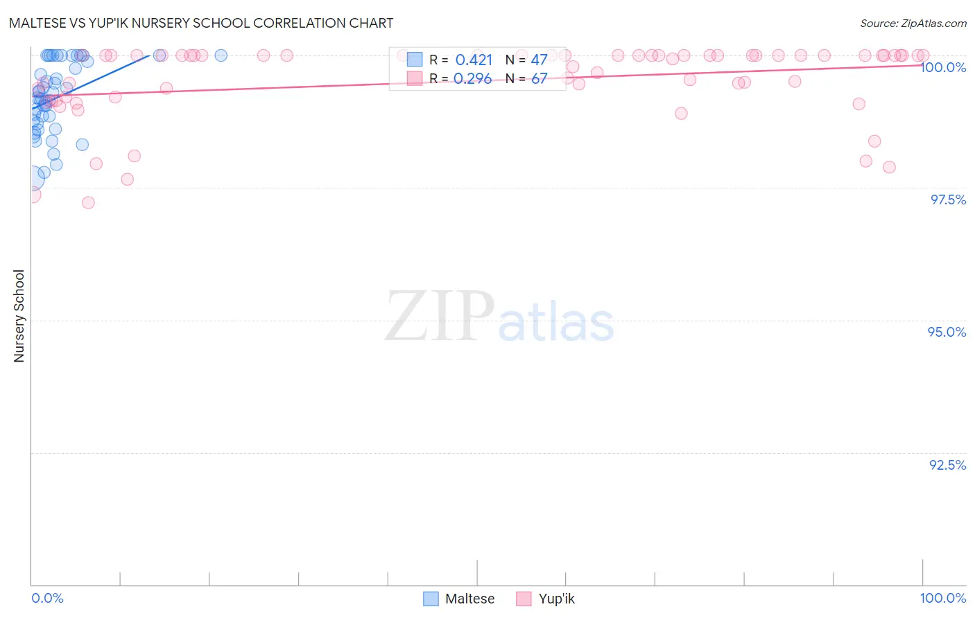 Maltese vs Yup'ik Nursery School