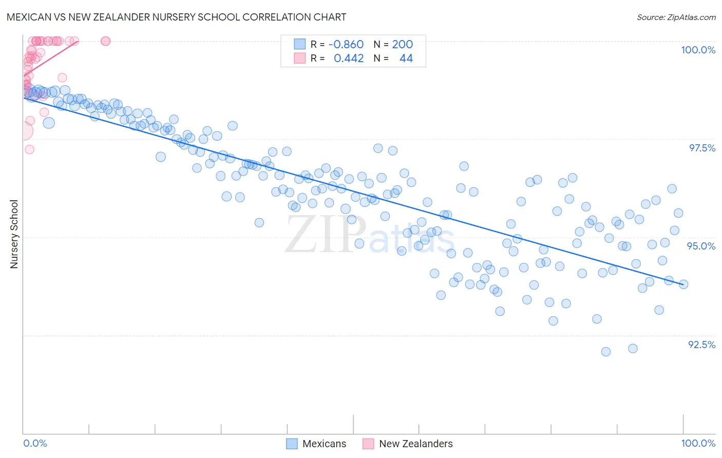 Mexican vs New Zealander Nursery School