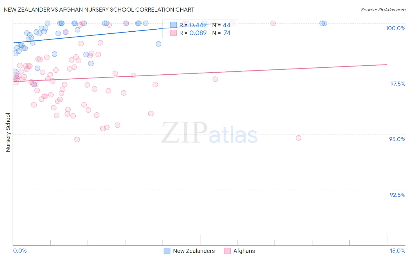 New Zealander vs Afghan Nursery School