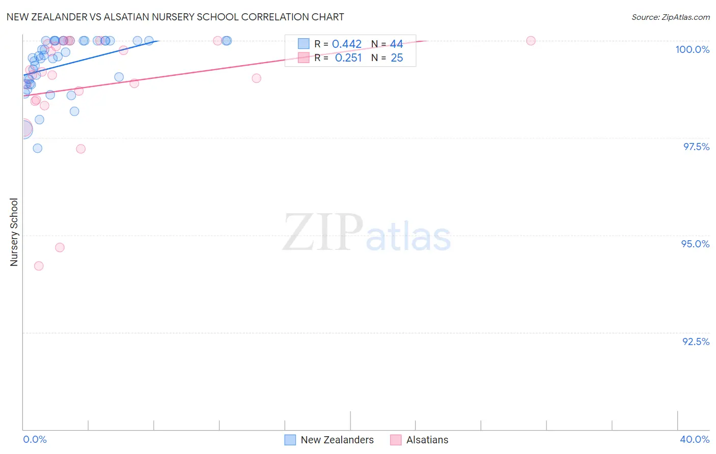 New Zealander vs Alsatian Nursery School