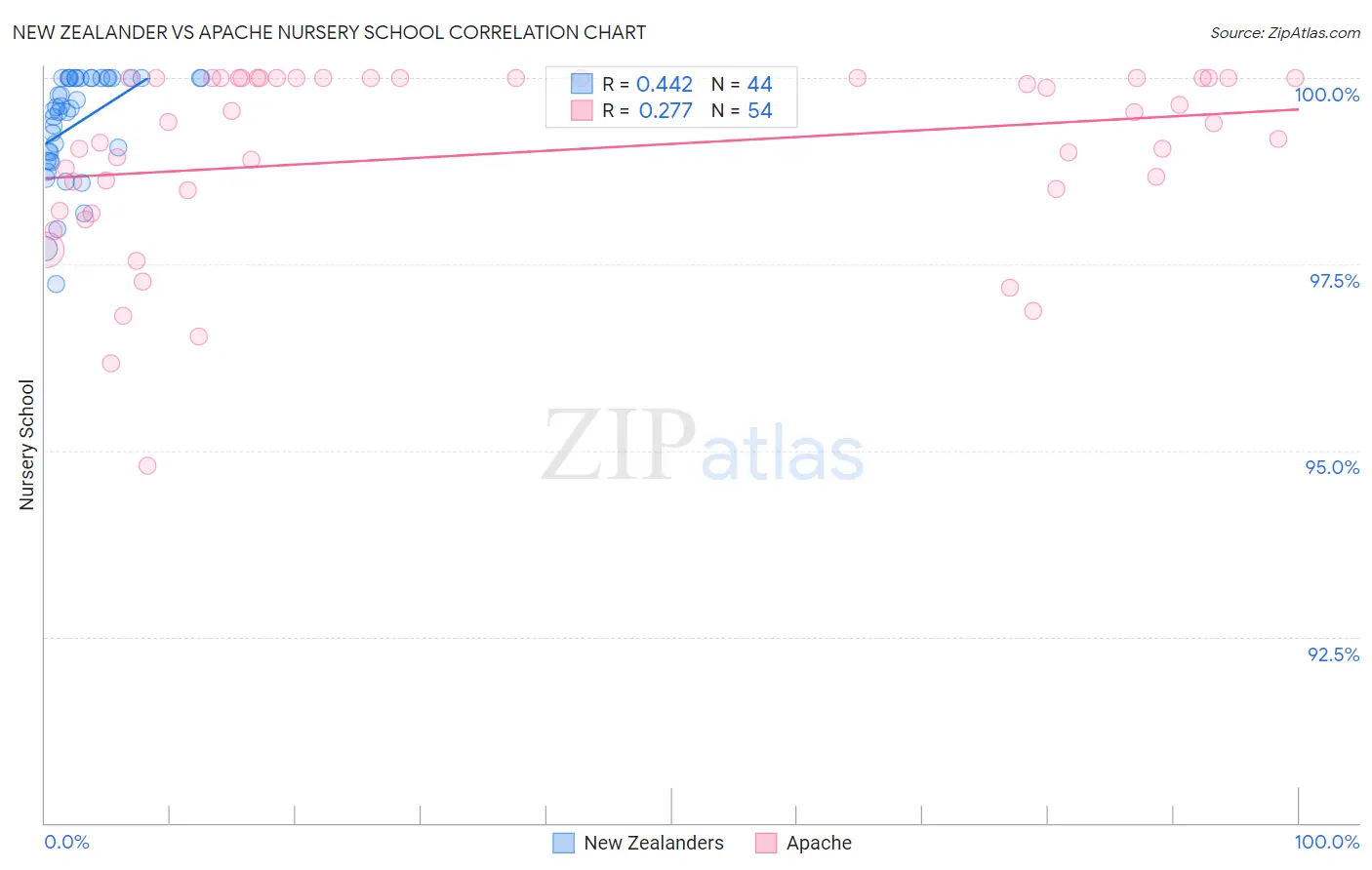 New Zealander vs Apache Nursery School