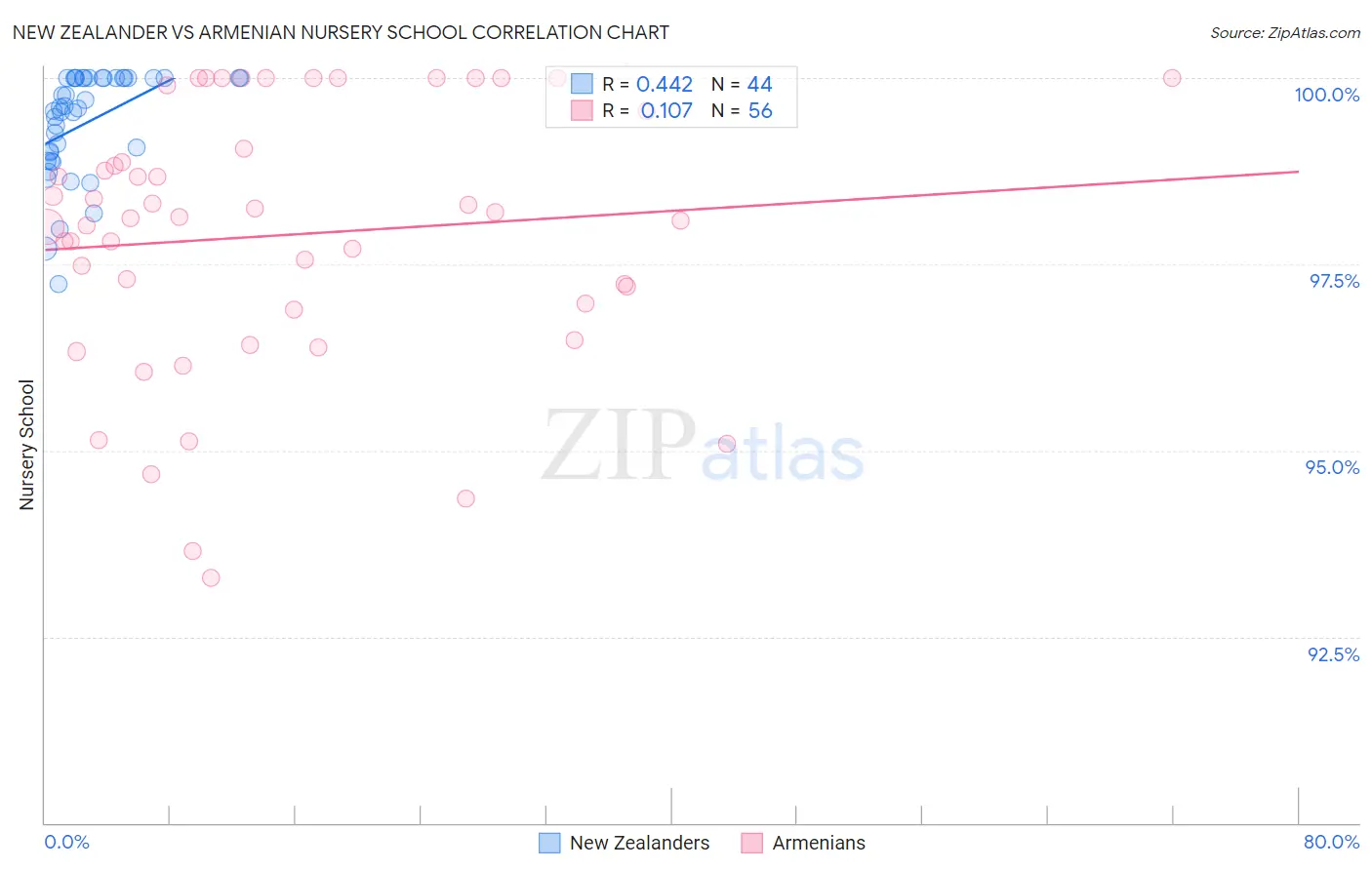 New Zealander vs Armenian Nursery School