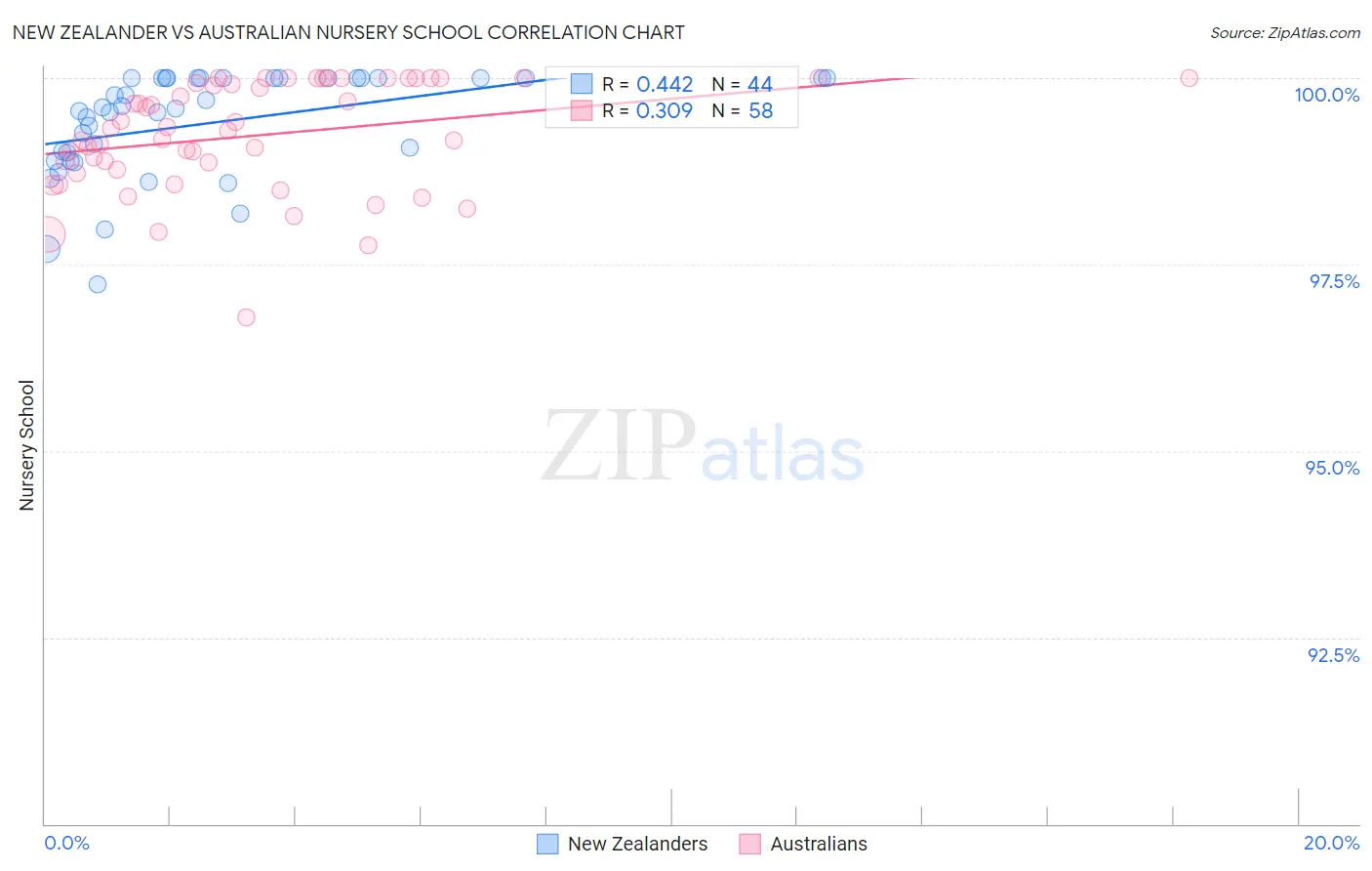 New Zealander vs Australian Nursery School