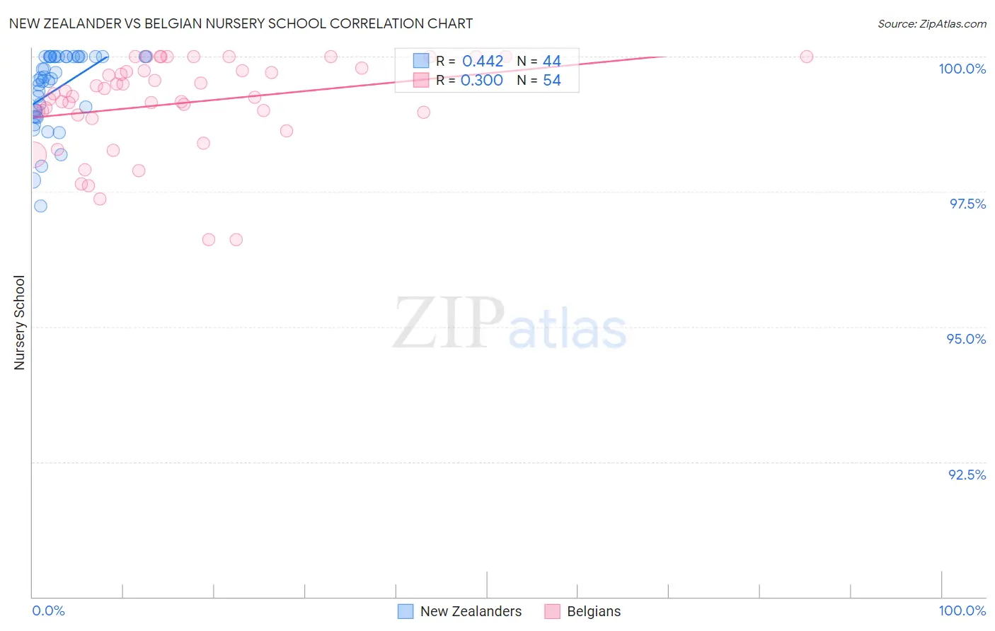 New Zealander vs Belgian Nursery School
