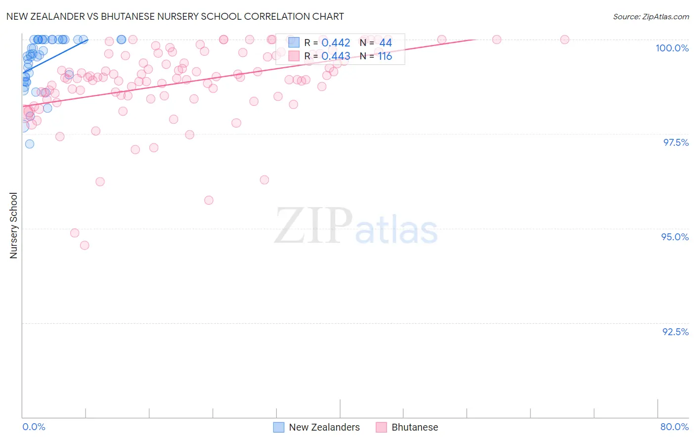 New Zealander vs Bhutanese Nursery School