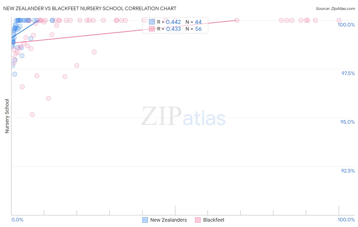 New Zealander vs Blackfeet Nursery School