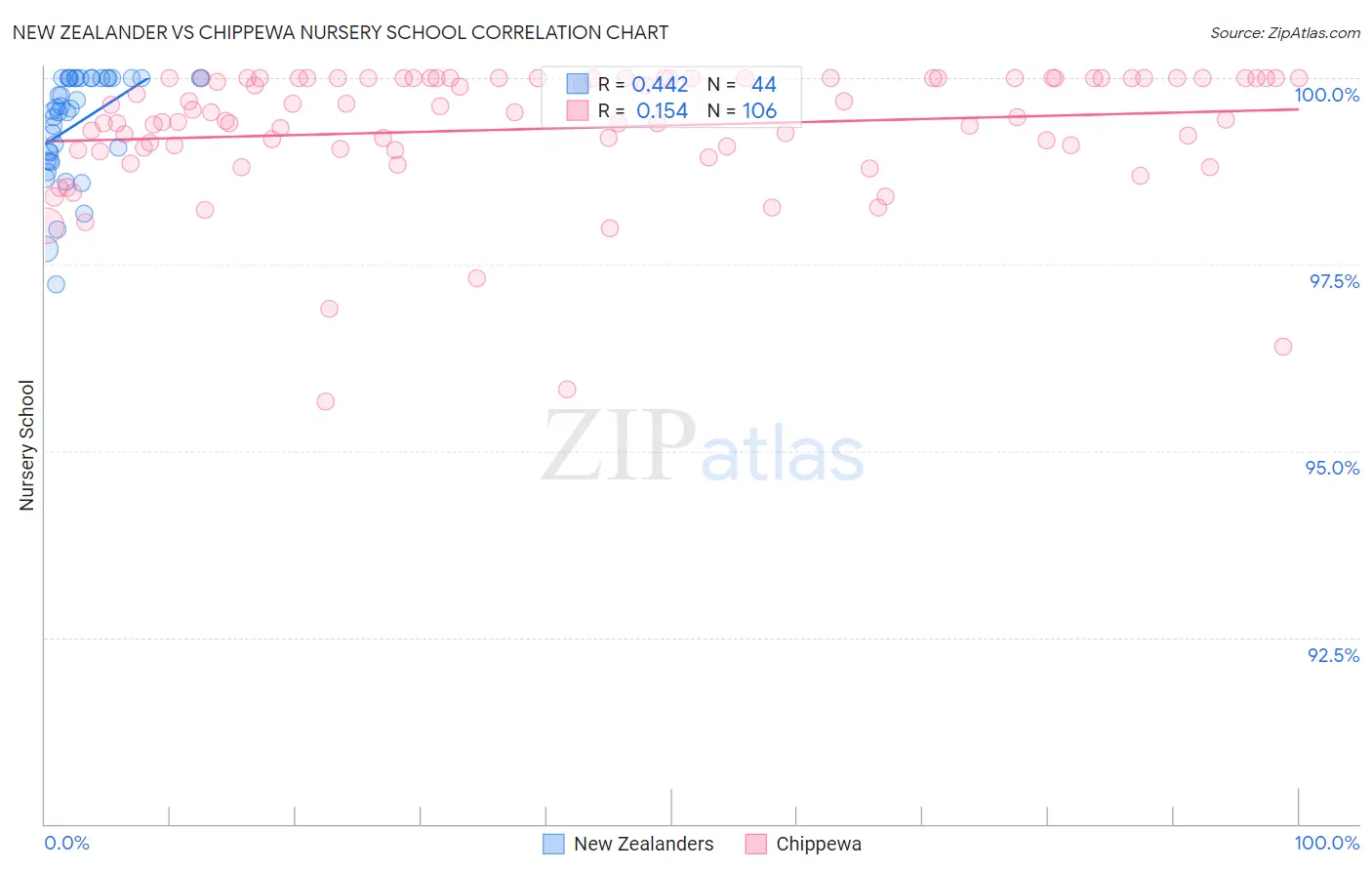 New Zealander vs Chippewa Nursery School