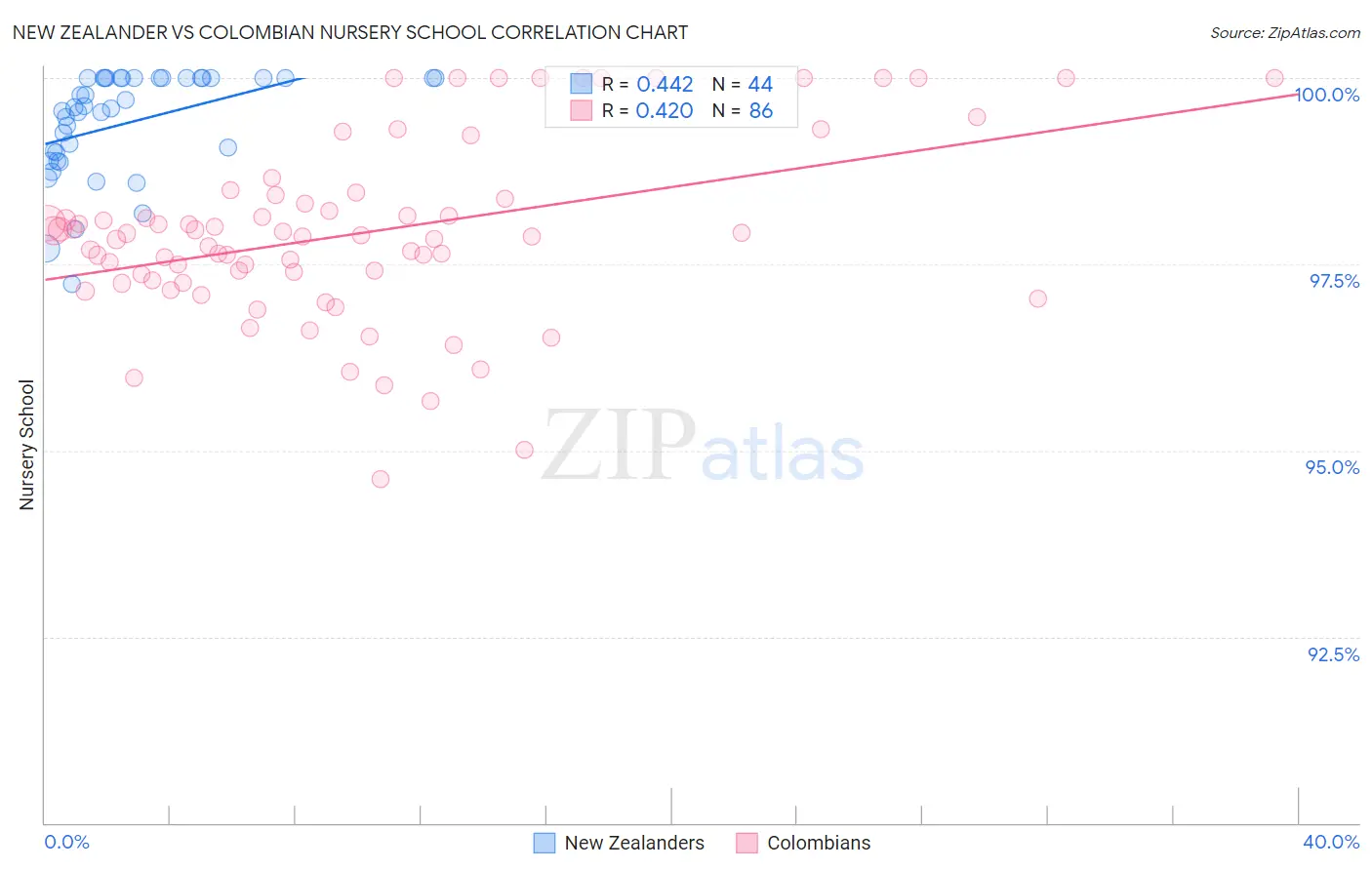 New Zealander vs Colombian Nursery School