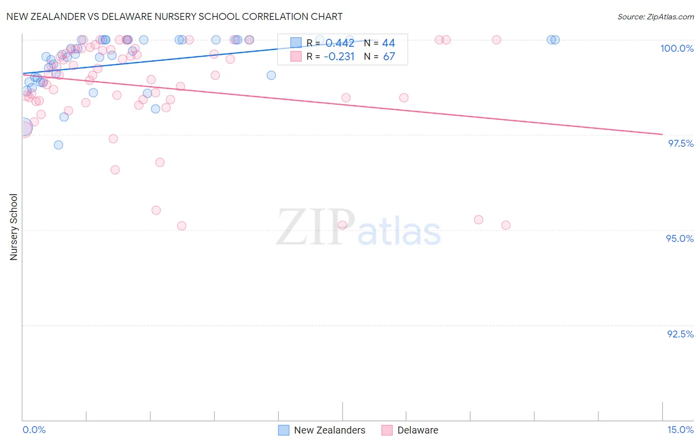 New Zealander vs Delaware Nursery School