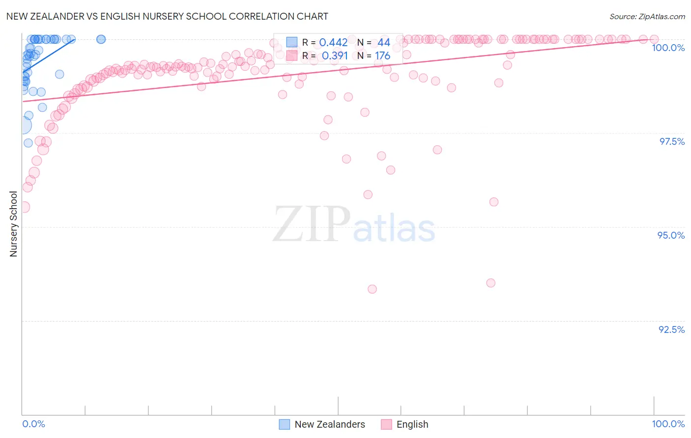New Zealander vs English Nursery School