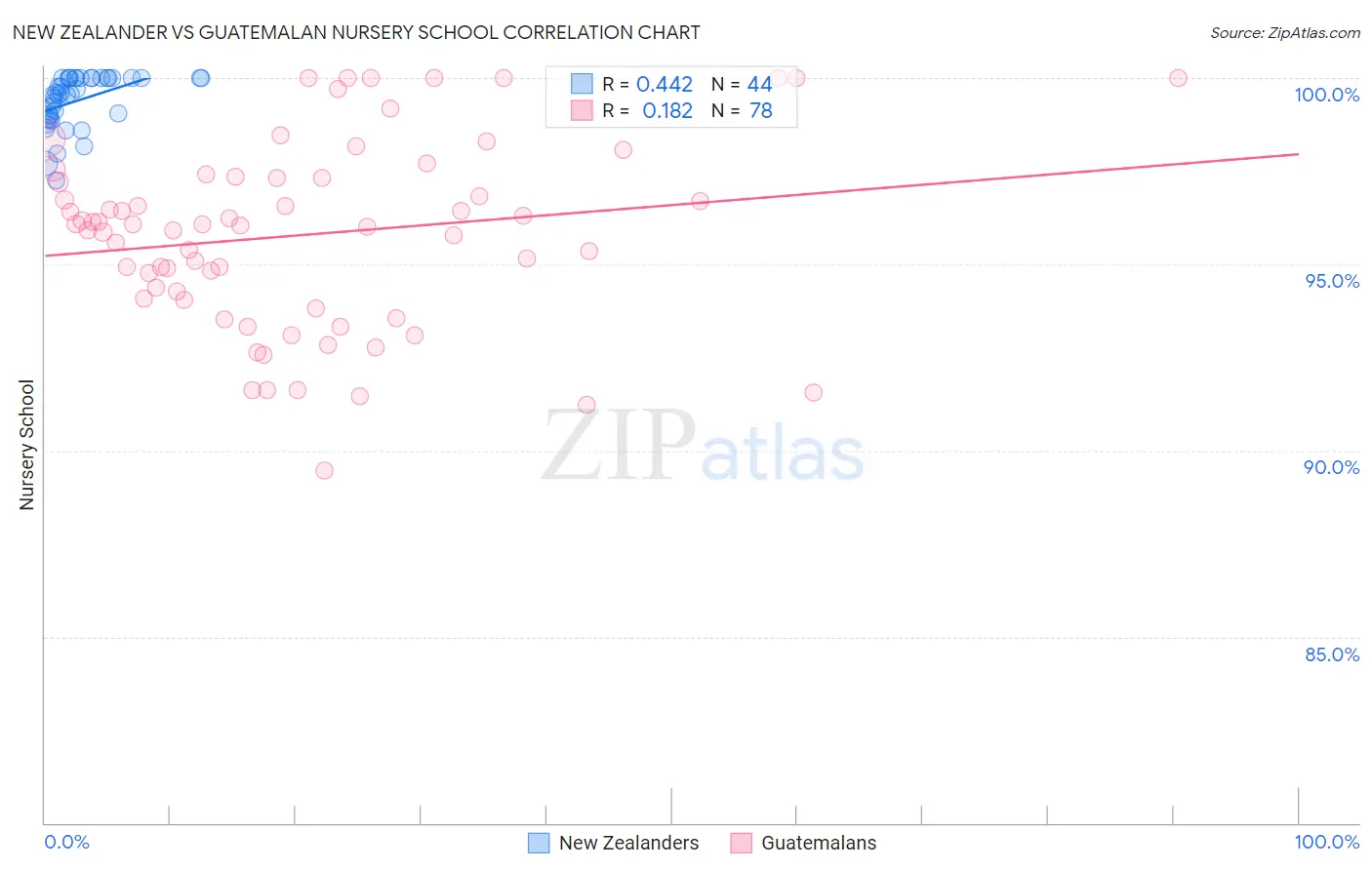 New Zealander vs Guatemalan Nursery School