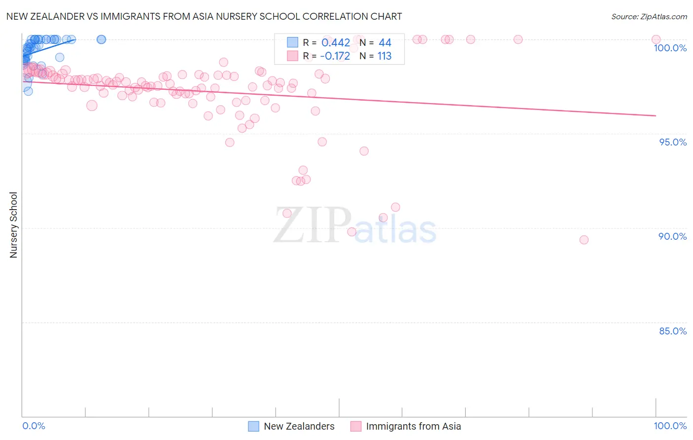 New Zealander vs Immigrants from Asia Nursery School