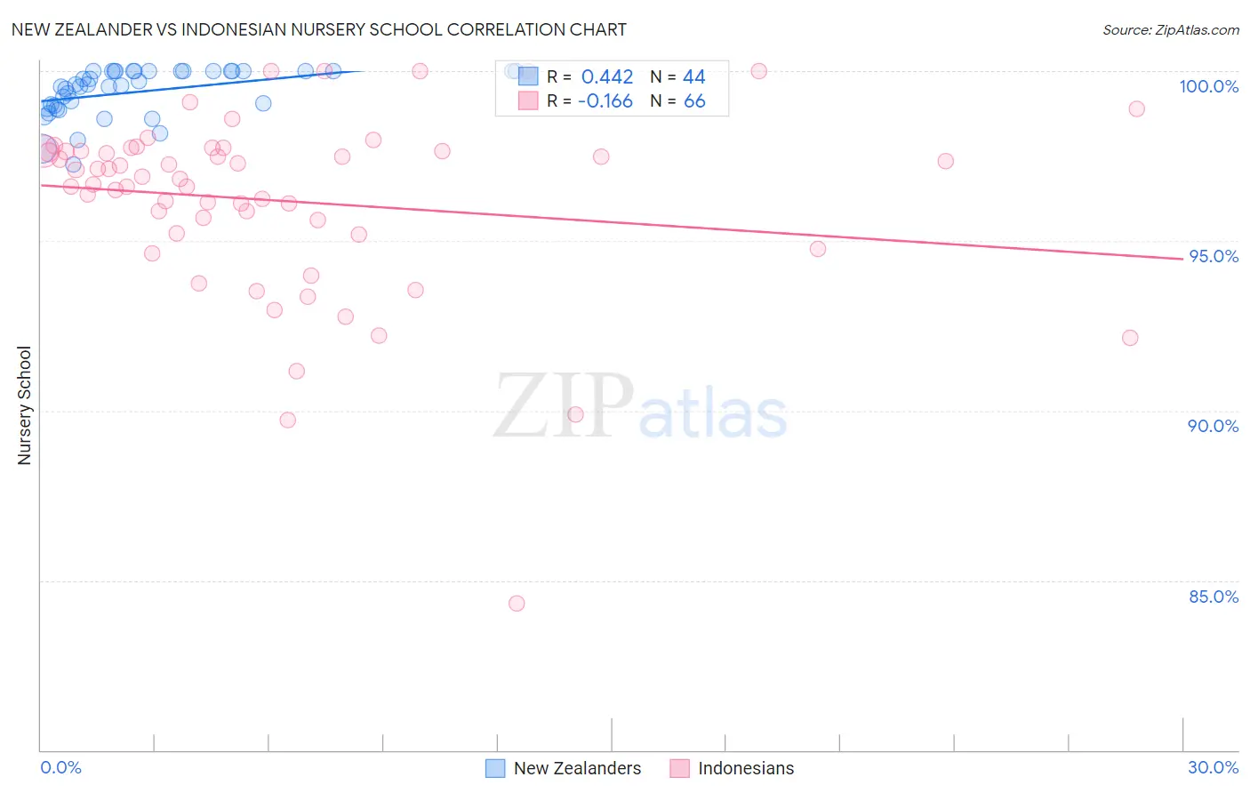 New Zealander vs Indonesian Nursery School