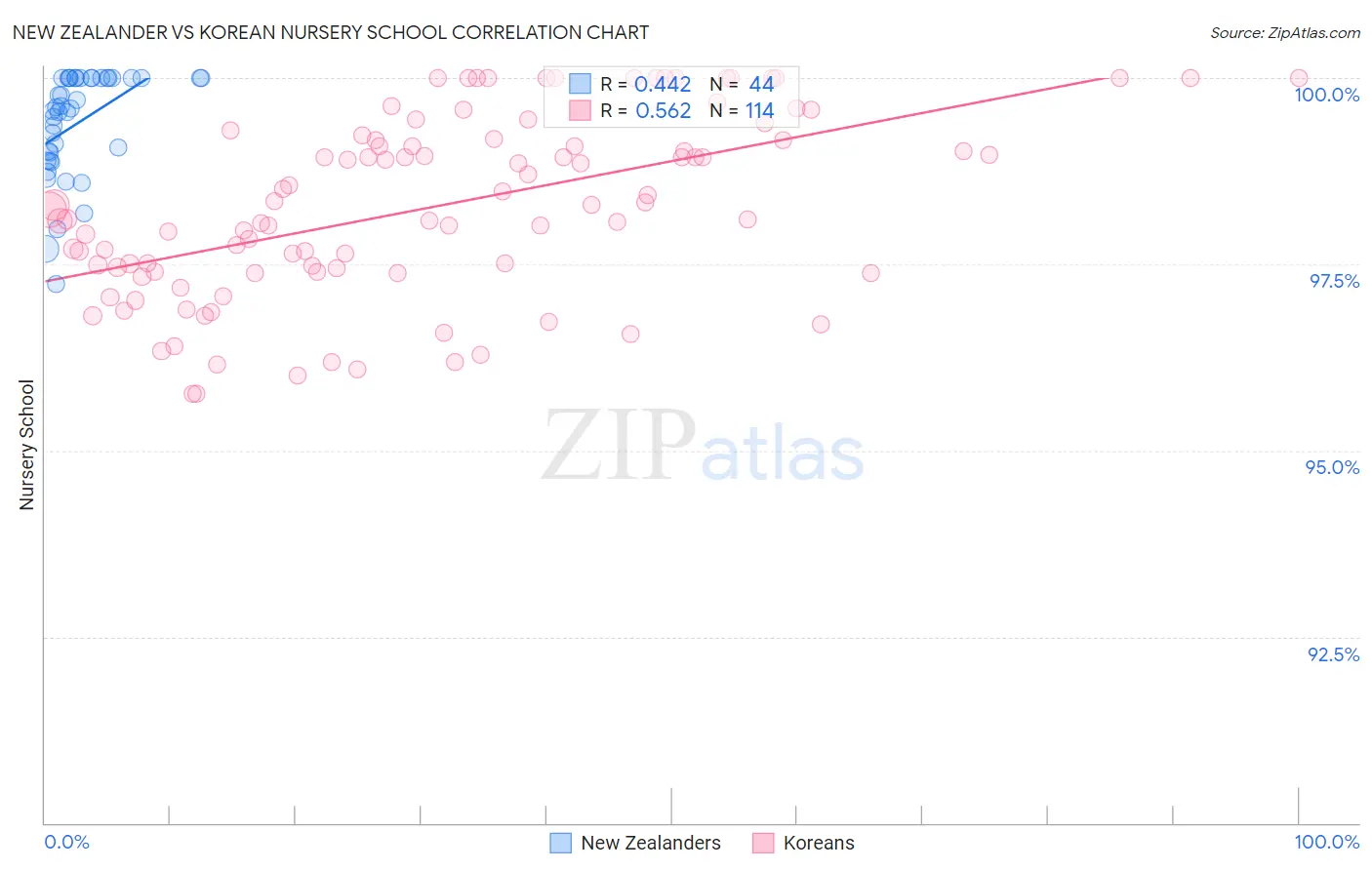 New Zealander vs Korean Nursery School
