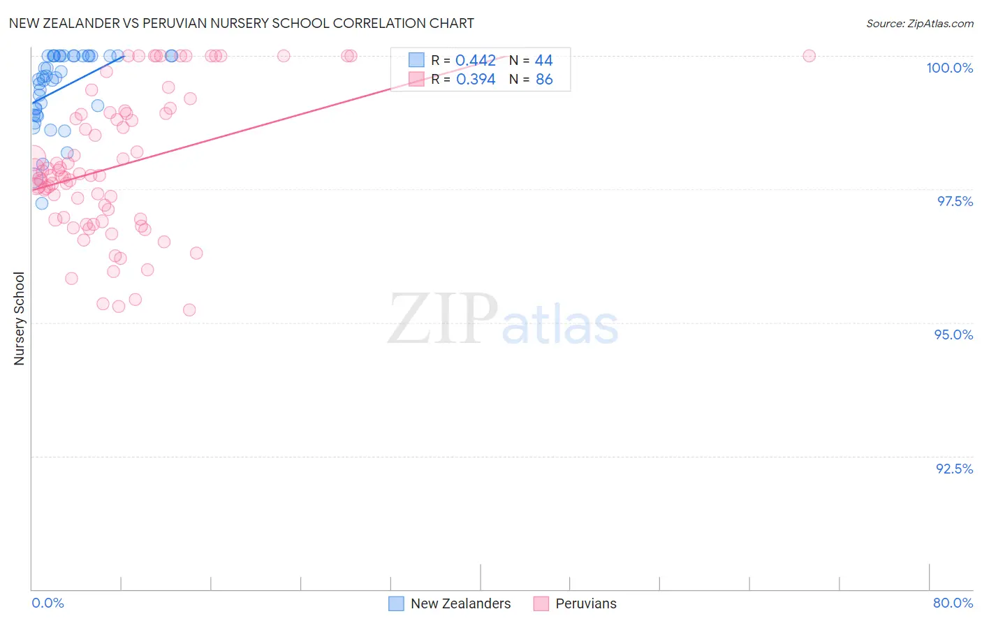 New Zealander vs Peruvian Nursery School