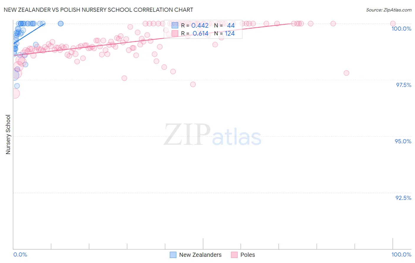 New Zealander vs Polish Nursery School