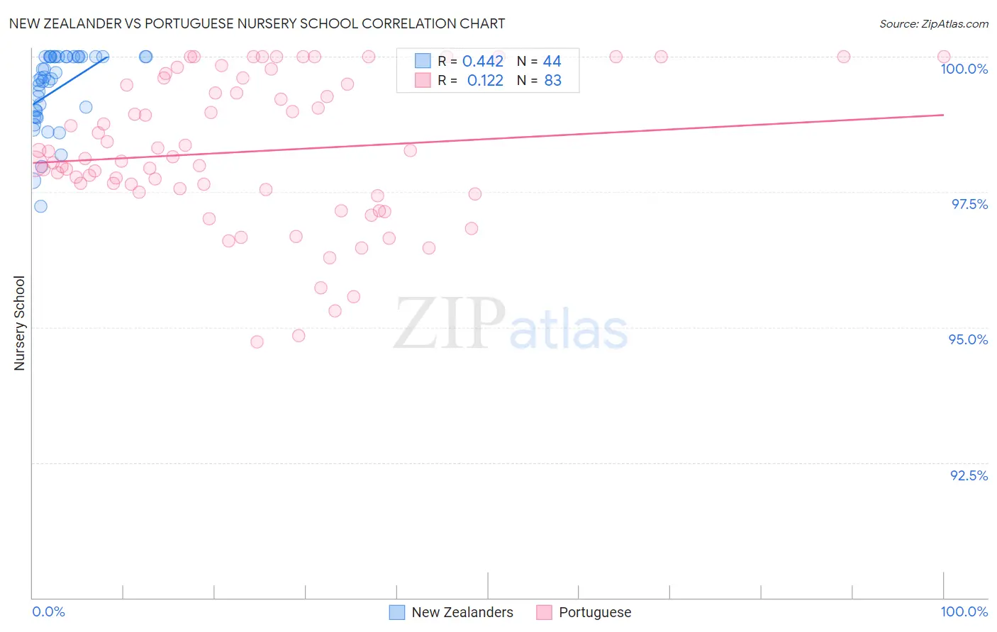 New Zealander vs Portuguese Nursery School