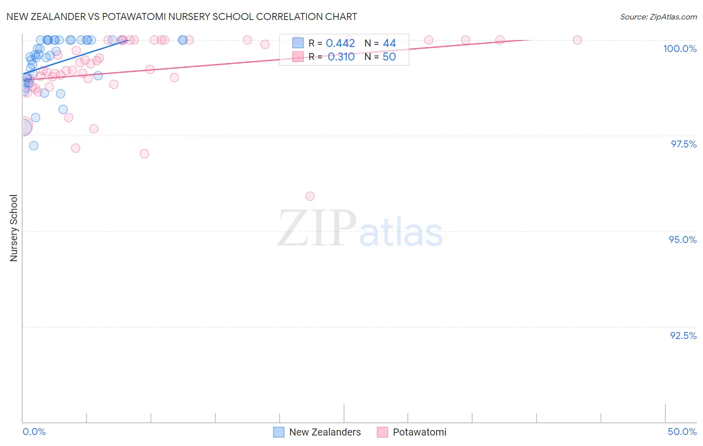 New Zealander vs Potawatomi Nursery School