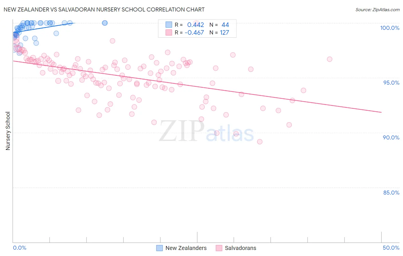 New Zealander vs Salvadoran Nursery School