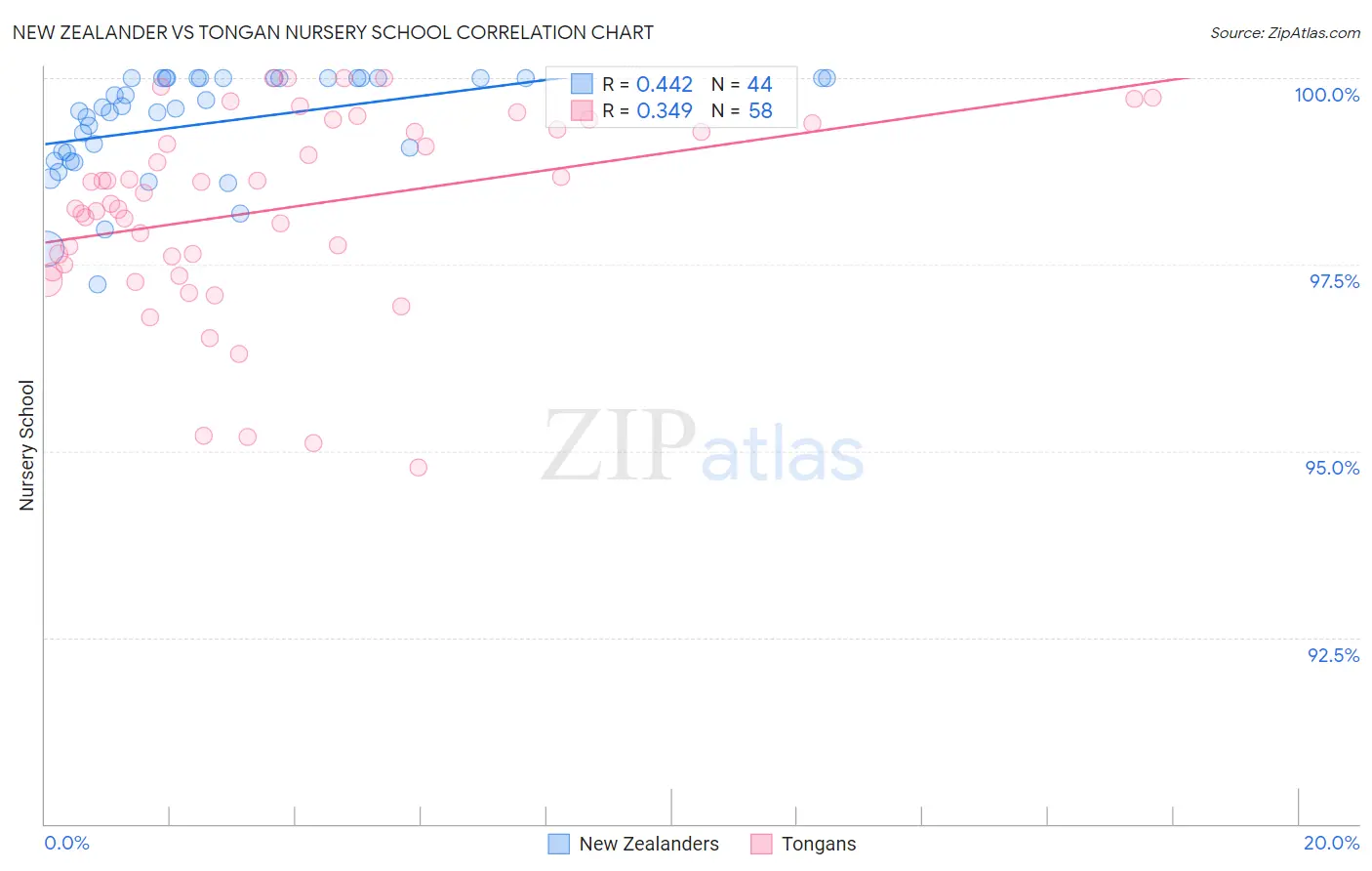 New Zealander vs Tongan Nursery School