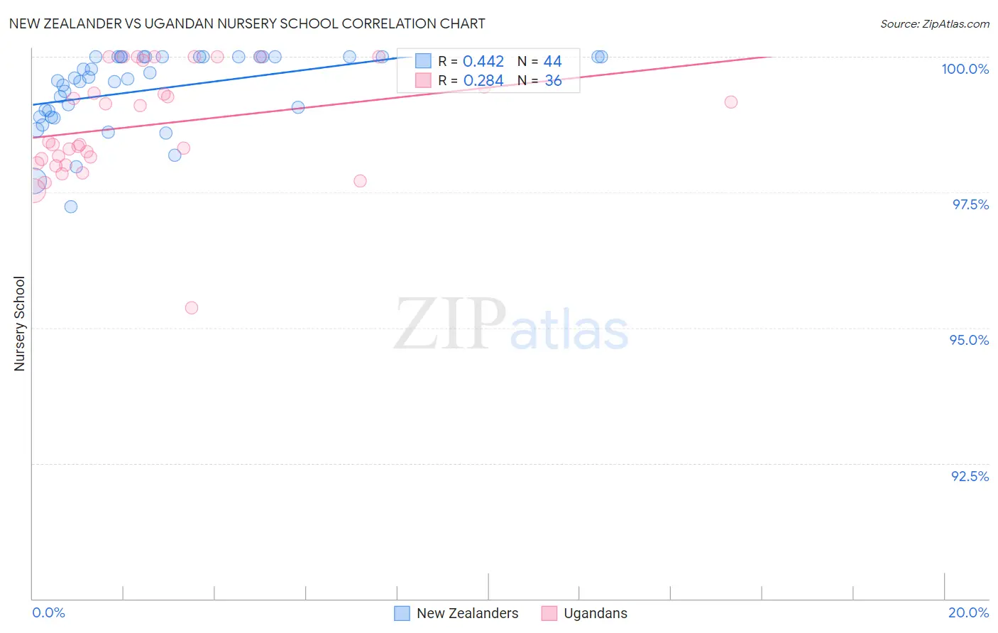 New Zealander vs Ugandan Nursery School