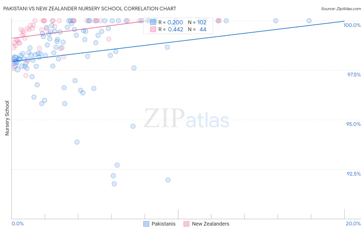 Pakistani vs New Zealander Nursery School