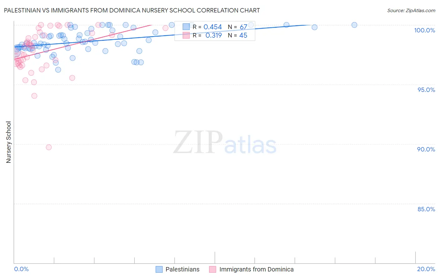 Palestinian vs Immigrants from Dominica Nursery School