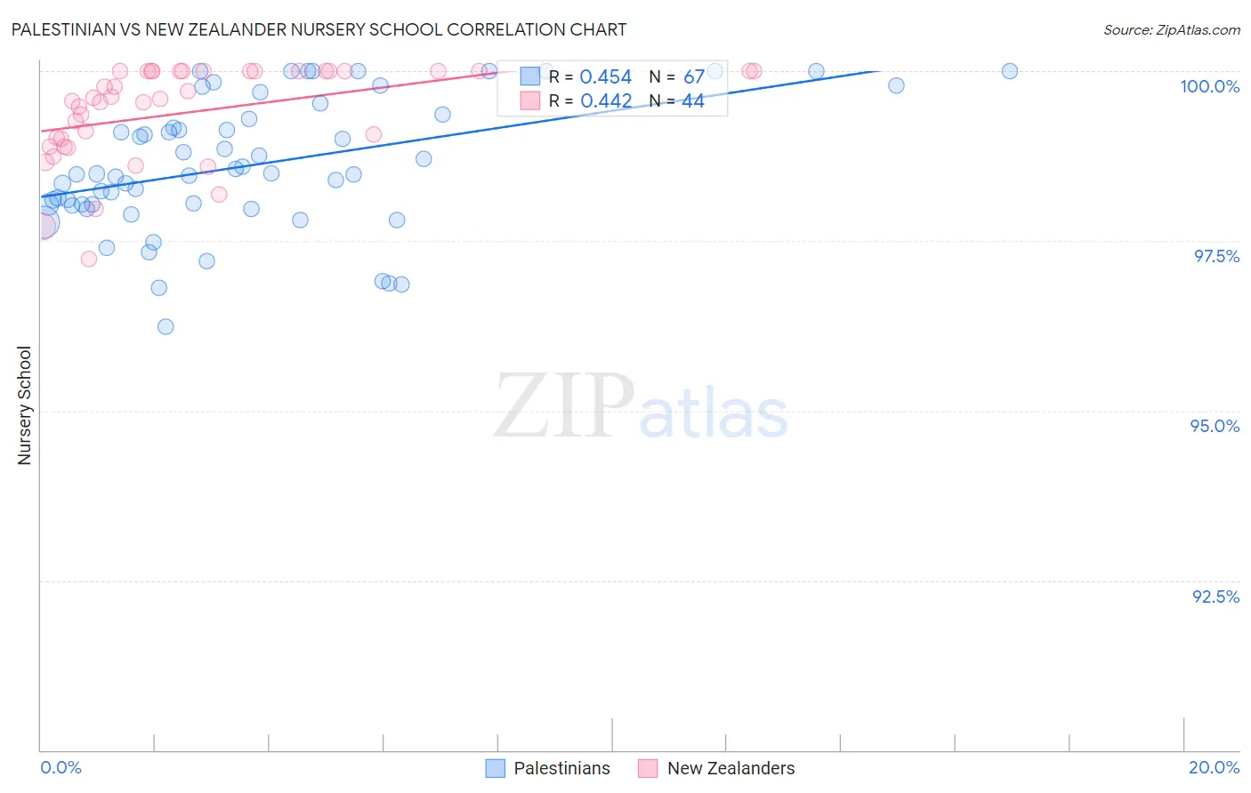 Palestinian vs New Zealander Nursery School