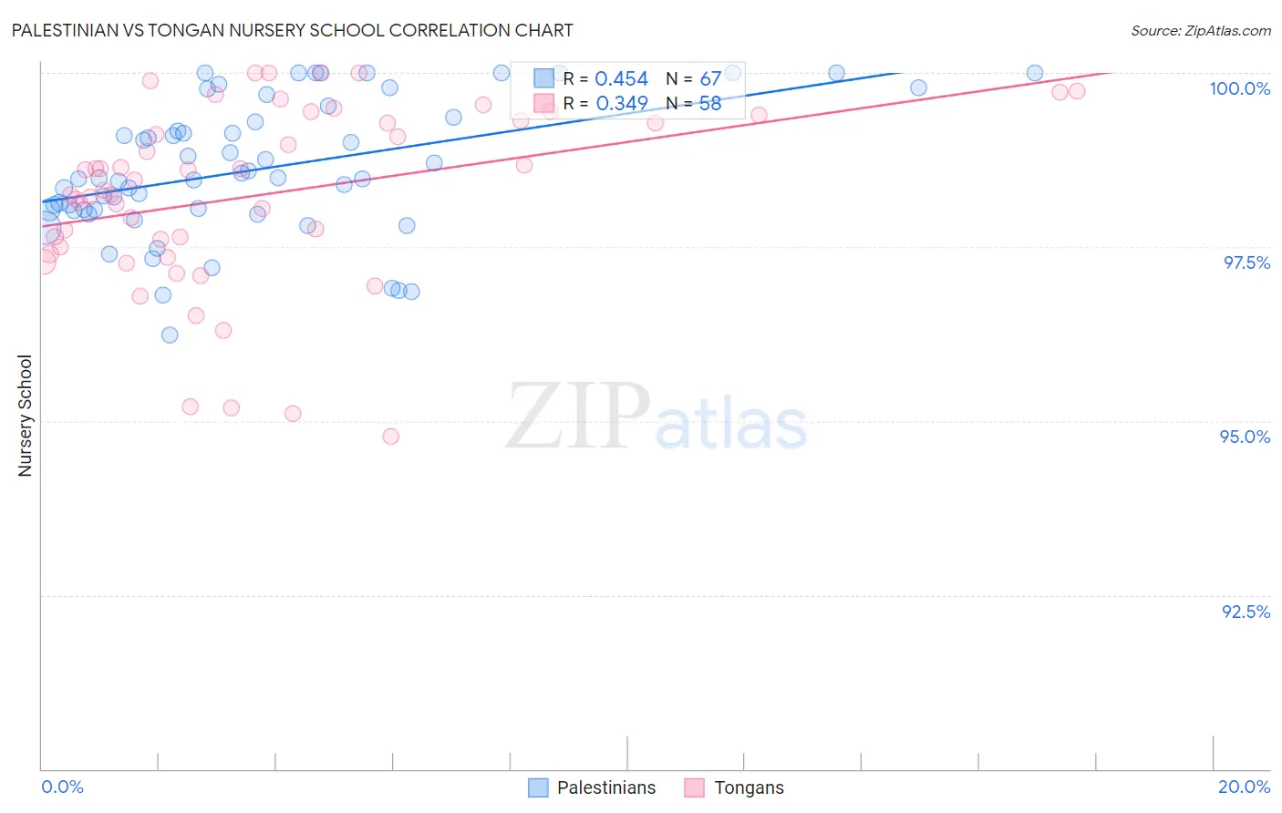 Palestinian vs Tongan Nursery School