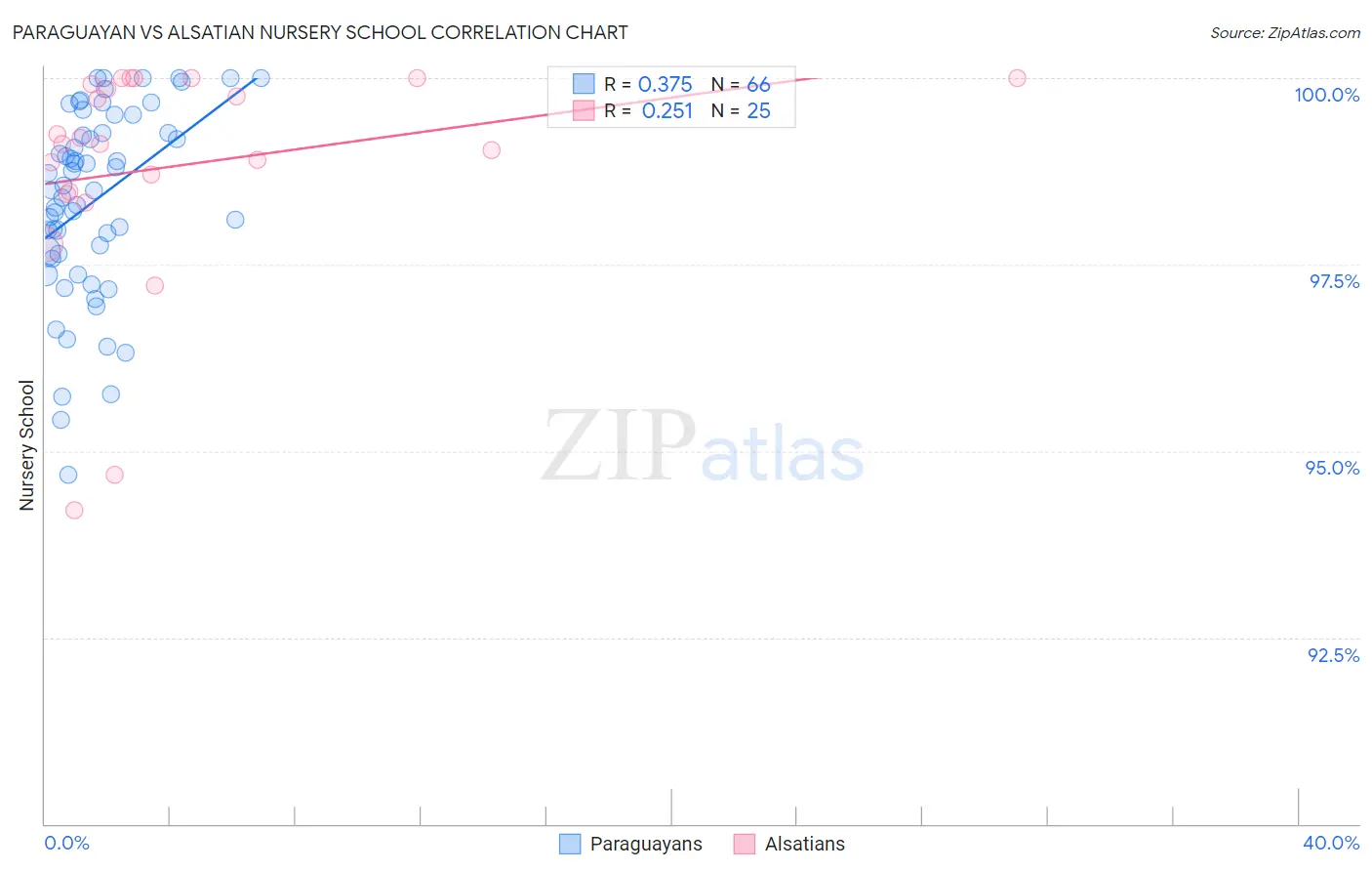 Paraguayan vs Alsatian Nursery School