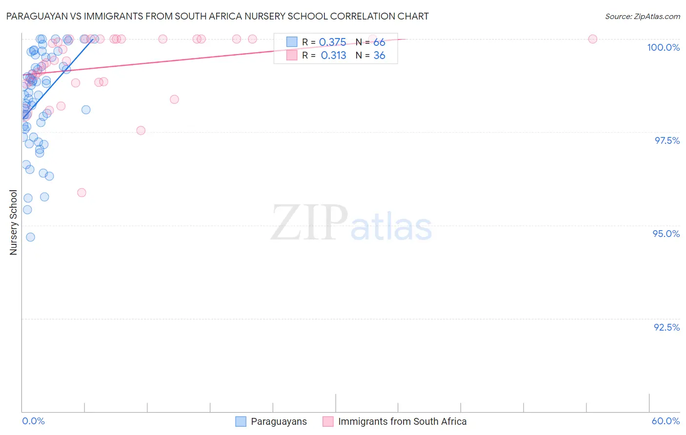 Paraguayan vs Immigrants from South Africa Nursery School