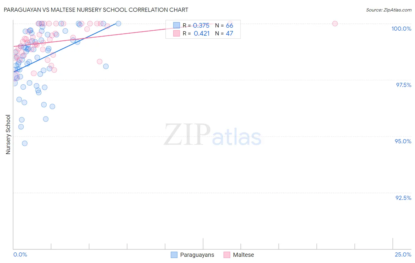 Paraguayan vs Maltese Nursery School