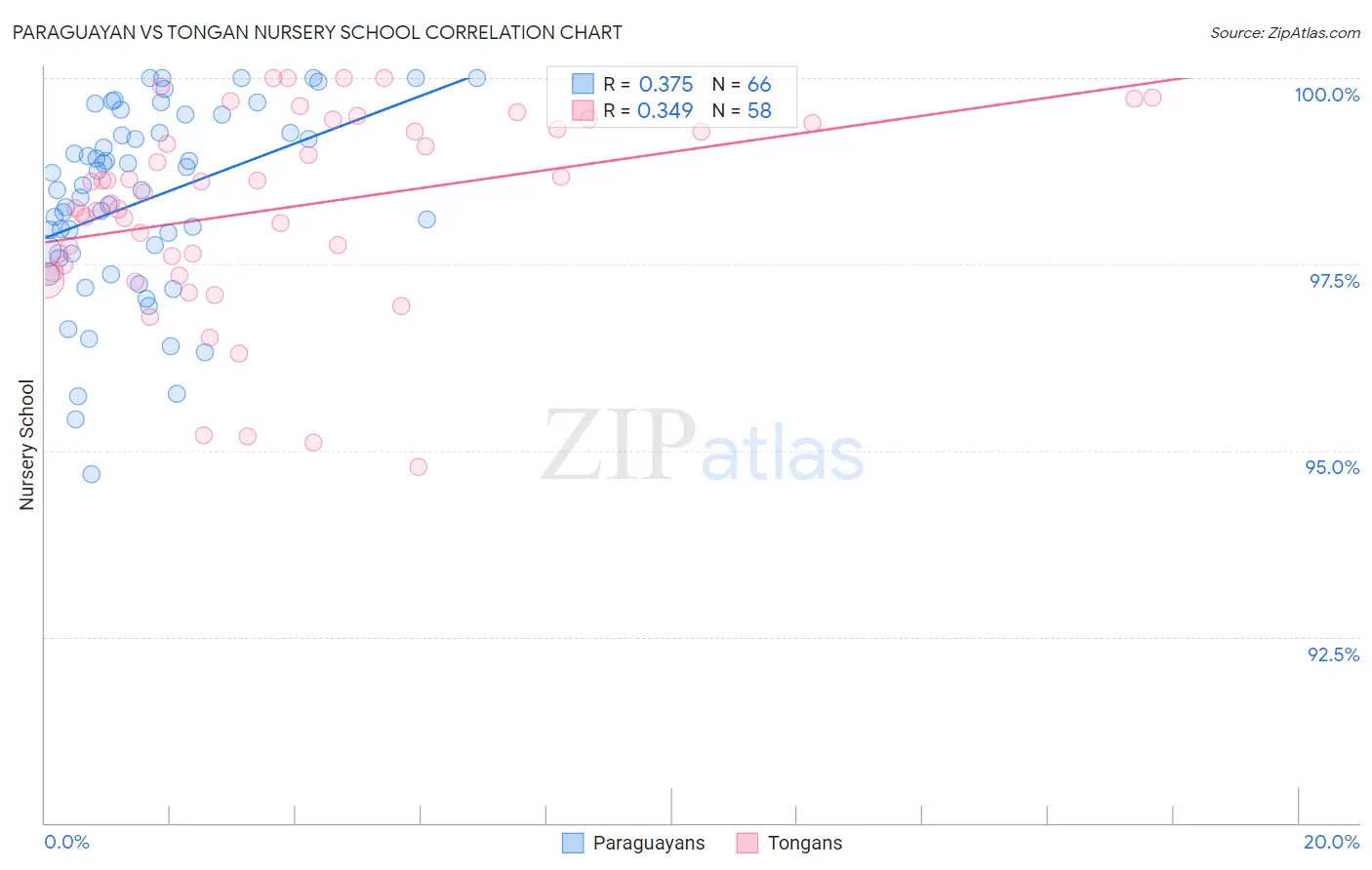 Paraguayan vs Tongan Nursery School