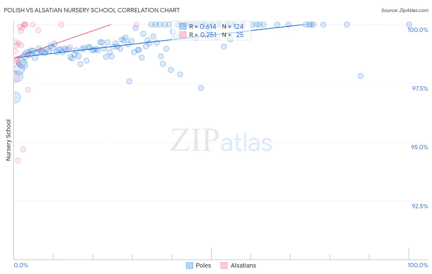 Polish vs Alsatian Nursery School