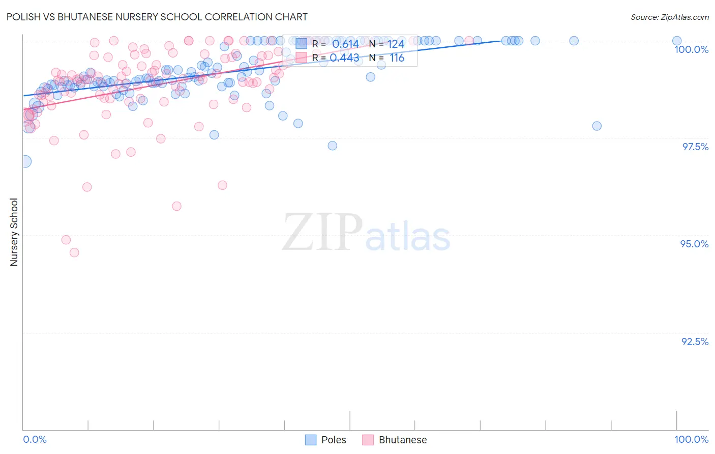 Polish vs Bhutanese Nursery School