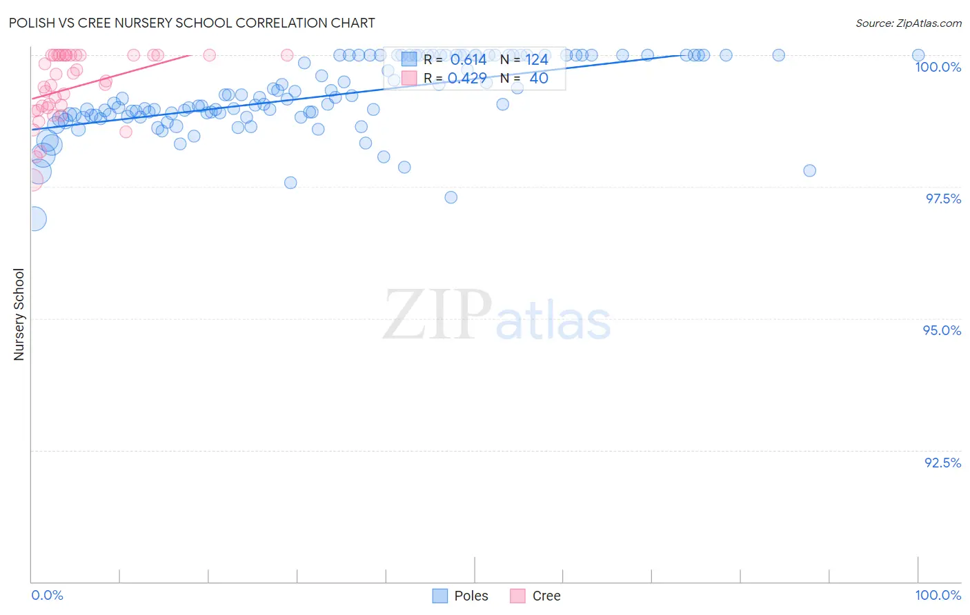 Polish vs Cree Nursery School