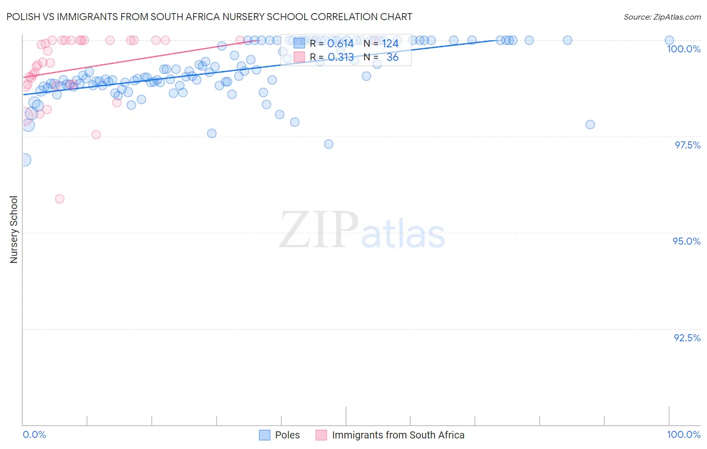 Polish vs Immigrants from South Africa Nursery School