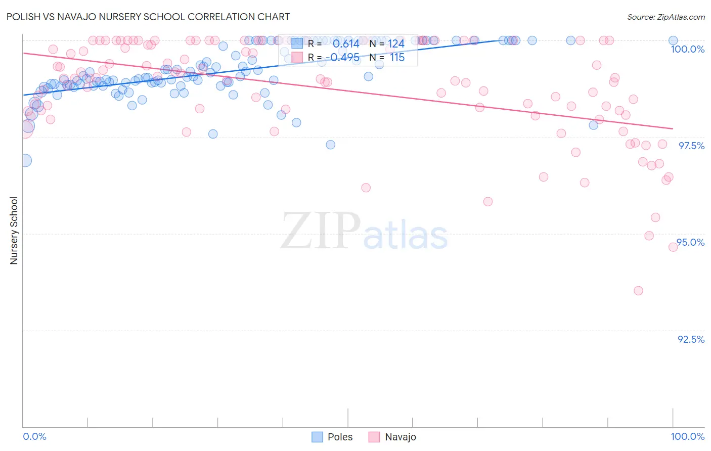 Polish vs Navajo Nursery School