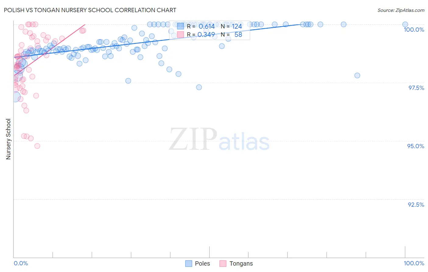 Polish vs Tongan Nursery School