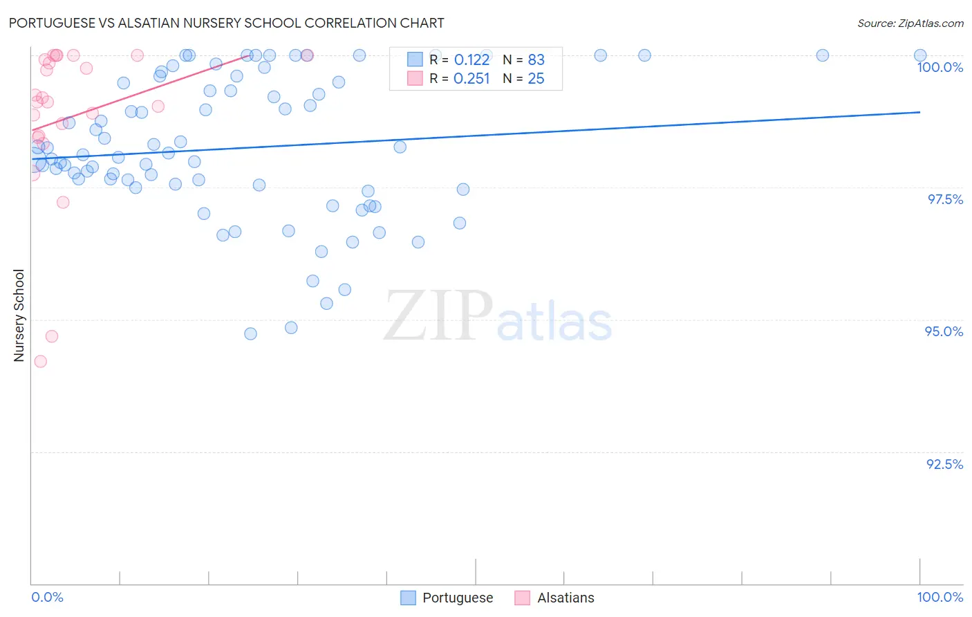 Portuguese vs Alsatian Nursery School