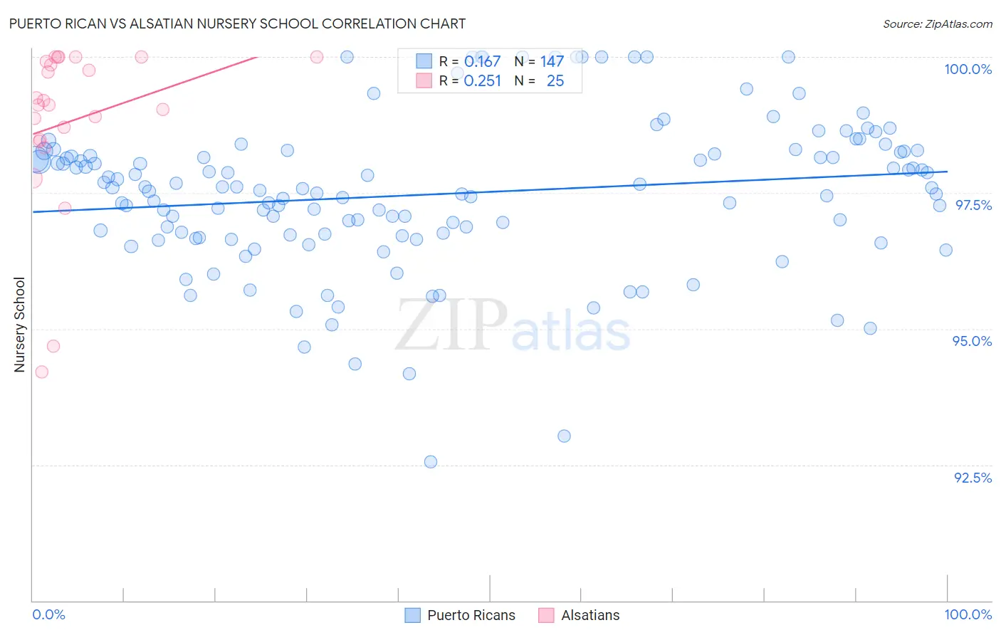 Puerto Rican vs Alsatian Nursery School