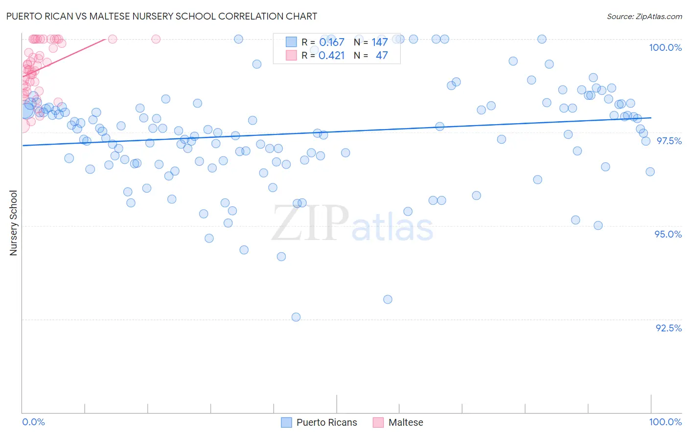 Puerto Rican vs Maltese Nursery School