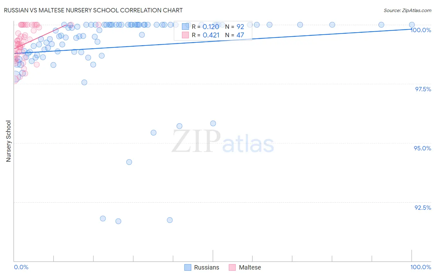 Russian vs Maltese Nursery School
