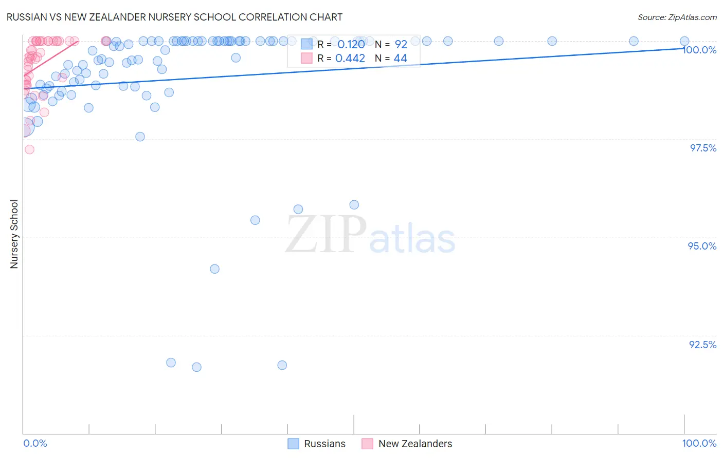 Russian vs New Zealander Nursery School