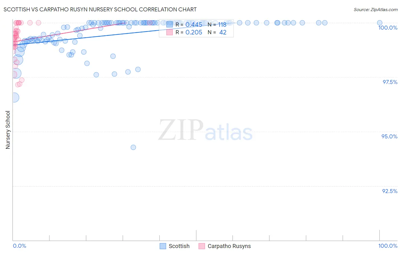 Scottish vs Carpatho Rusyn Nursery School