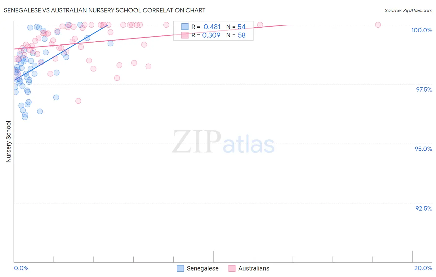 Senegalese vs Australian Nursery School